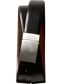 Reversible plaque belt