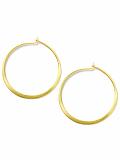 Women: Flattened hoop earring - Gold