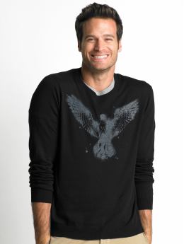 Cotton/silk/wool 'eagle' graphic crewneck