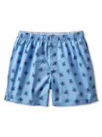 Lion crest boxer