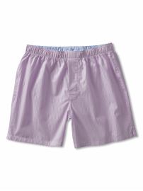 Mini-stripe boxer