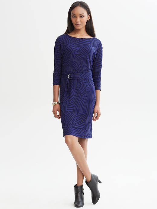 Banana Republic Belted Ribbon Print Dress