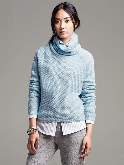 Banana Republic Textured Cropped Turtleneck