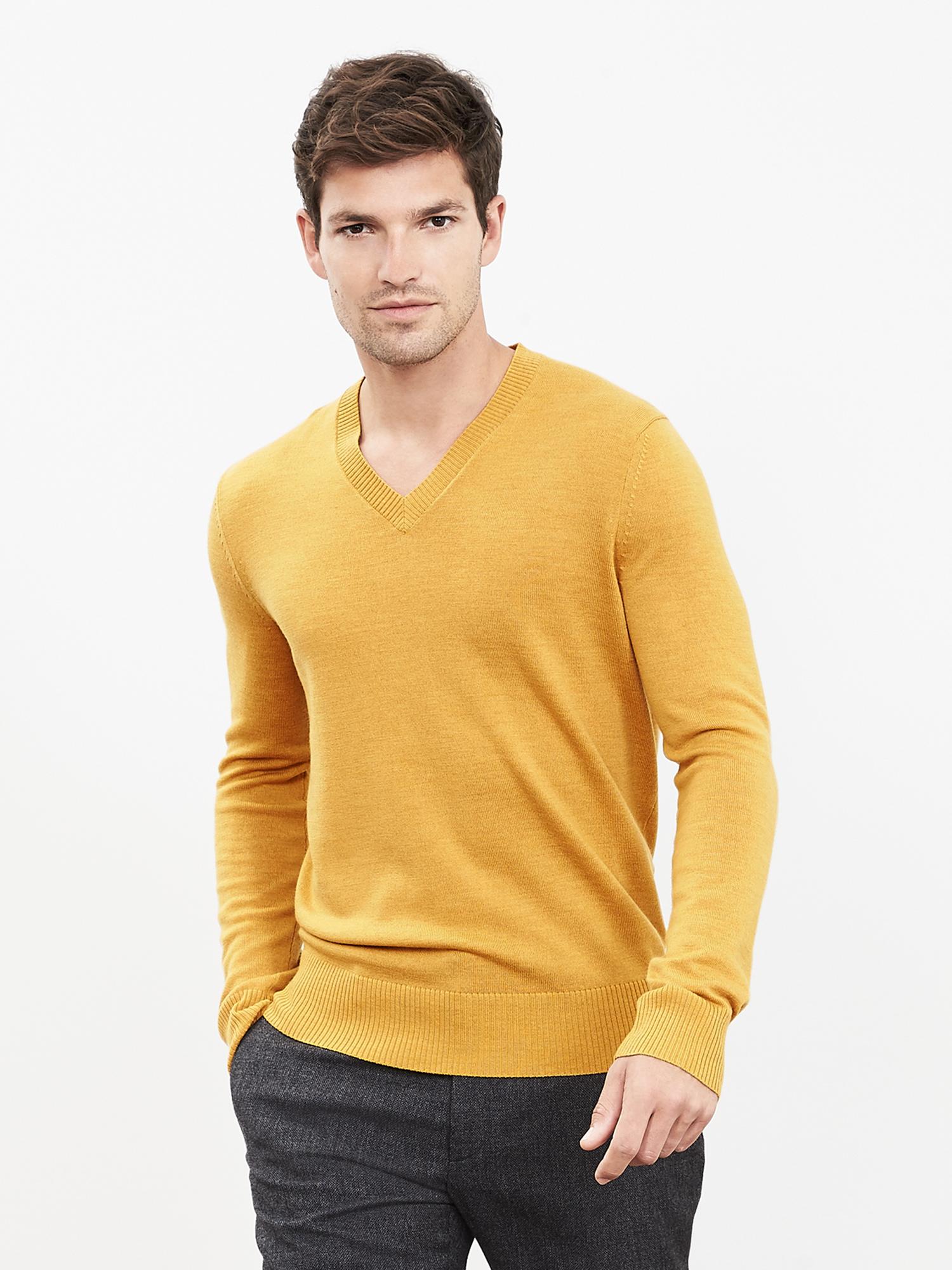 Extra-Fine Merino Wool Vee Sweater Pullover
