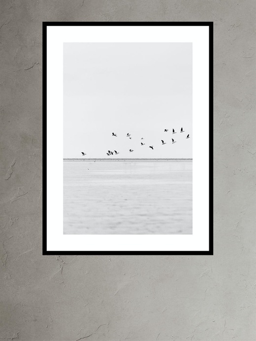 Pelicans On The Horizon By Nathan Dehart Banana Republic