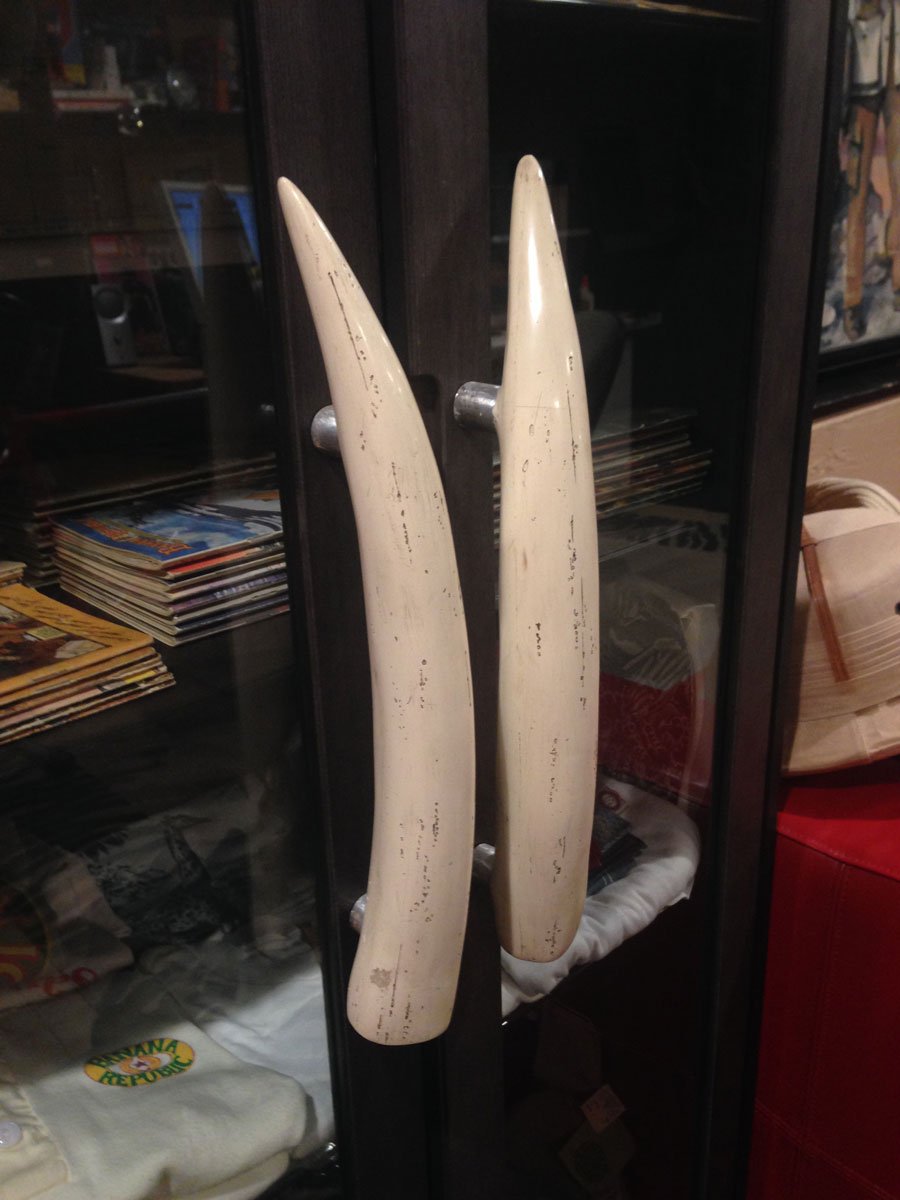 tusks