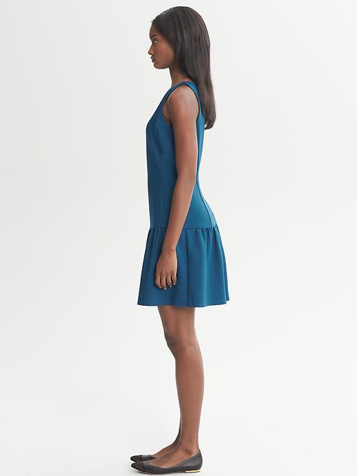Flared Drop-Waist Dress | Banana Republic