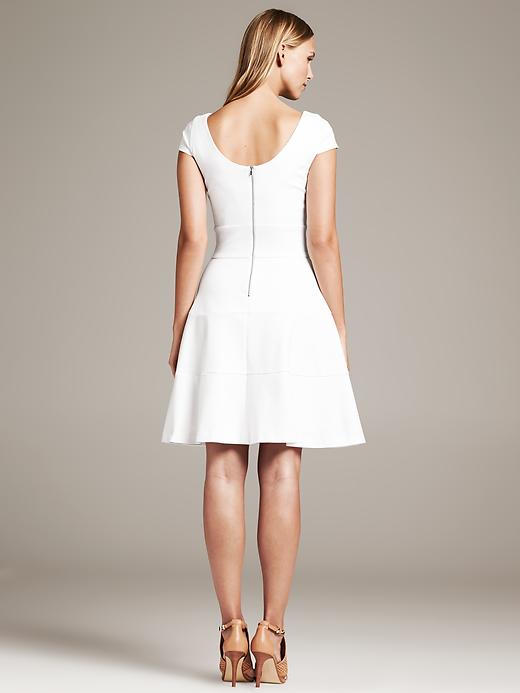 Seamed Fit-and-Flare Dress | Banana Republic