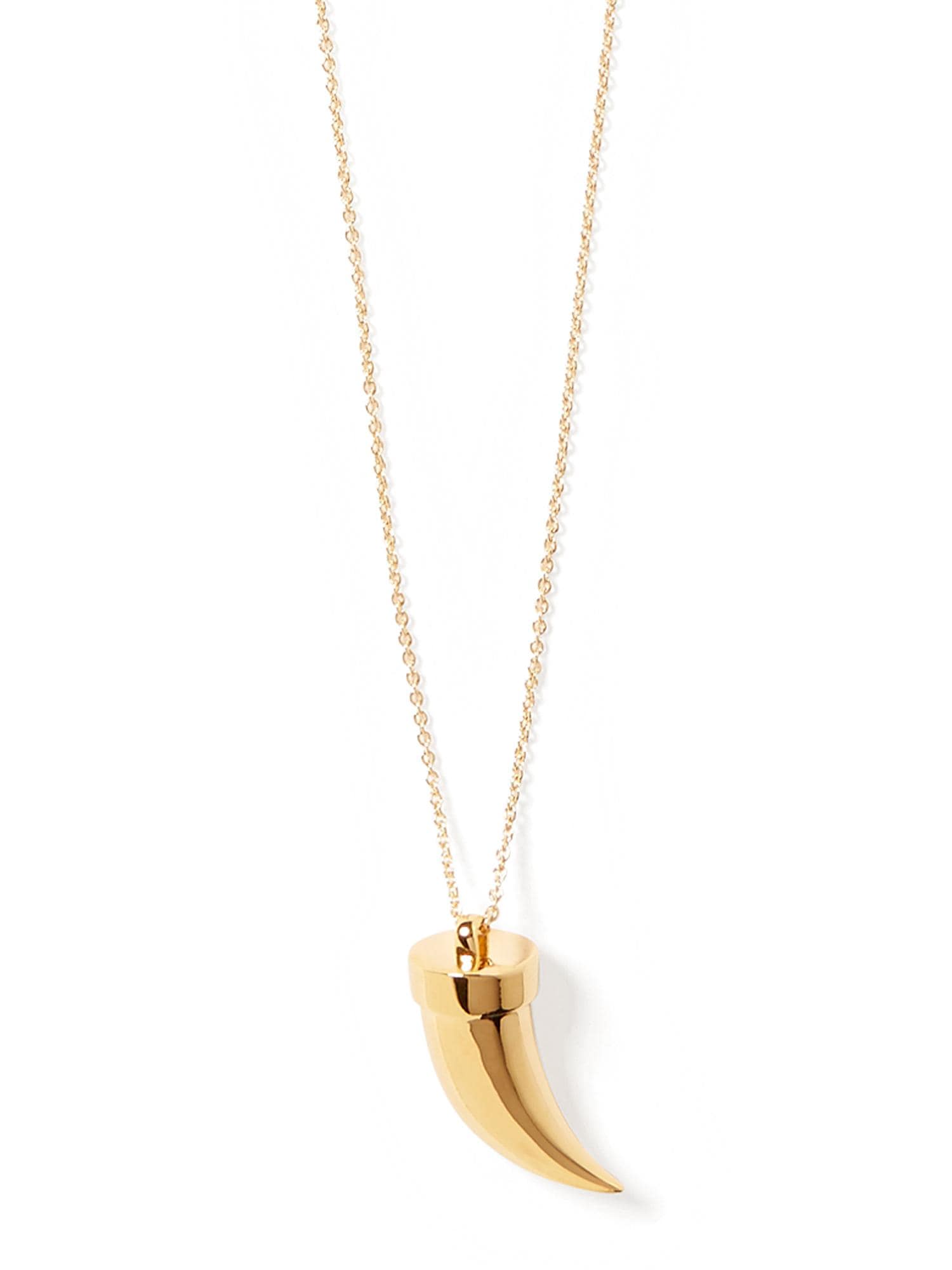 Pendulum Horn Necklace | Banana Republic