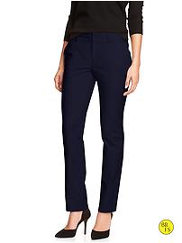 Factory Jackson-Fit Sleek Skinny Pant