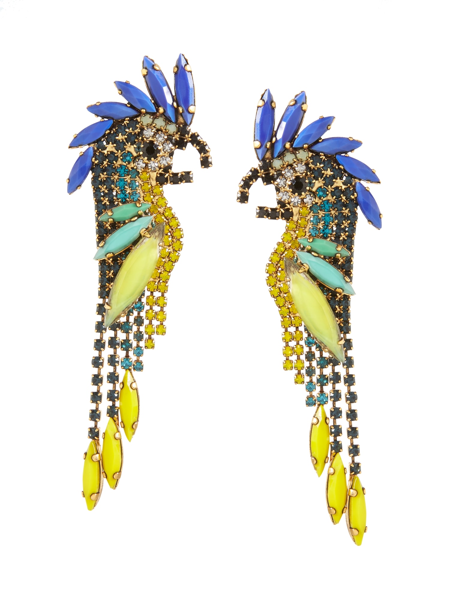 Elizabeth Cole &#124 Cockatoo Earrings