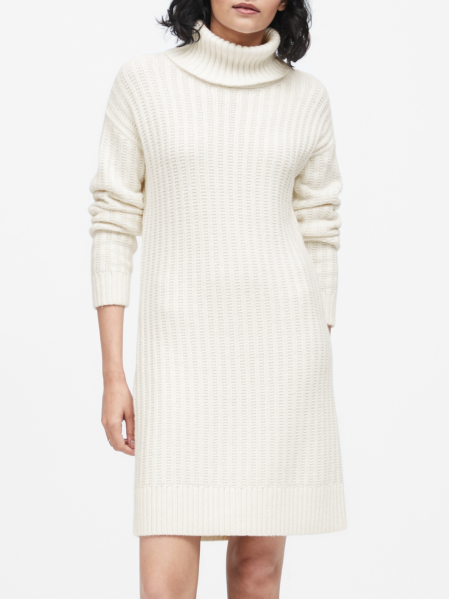 Petite Turtleneck Sweater Dress