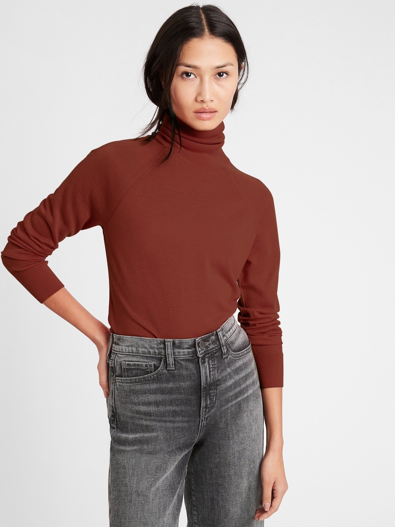 Merino Turtleneck Sweater in Responsible Wool | Banana Republic