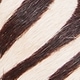 Zebra Print Haircalf Leather