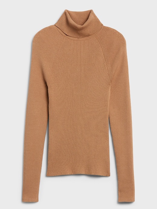 Mitico Turtleneck Sweater | Banana Republic