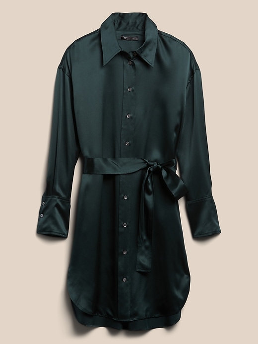 Silk Shirt Dress Green – Nothing But Labels