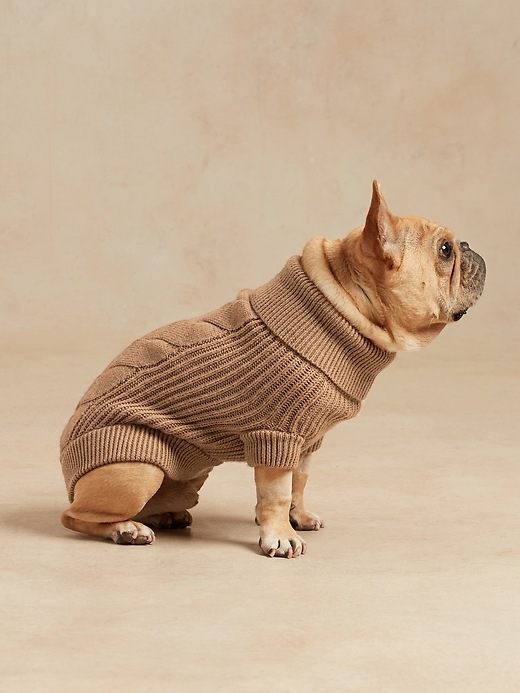 banana republic dog sweater