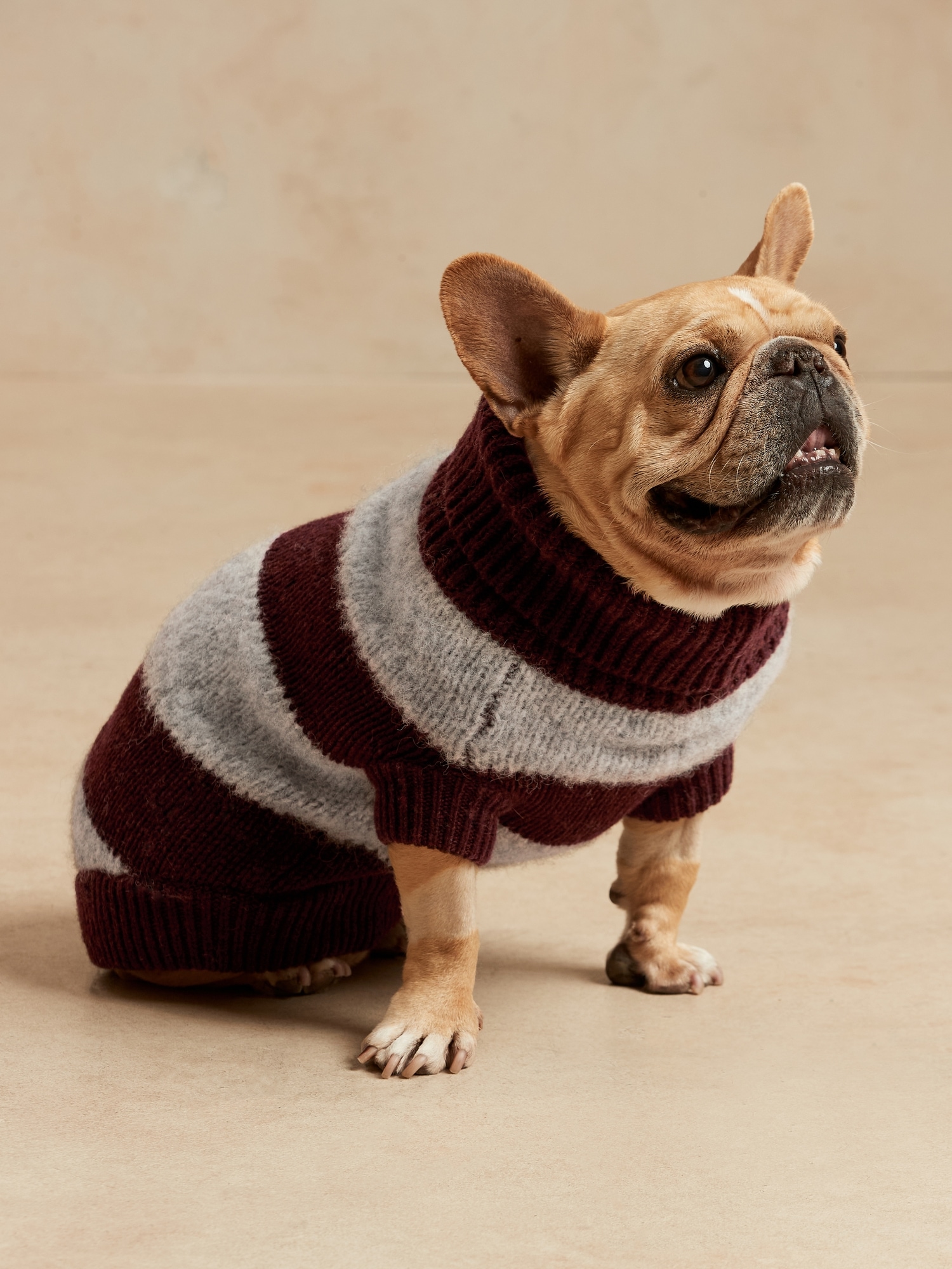 Bananarepublic Rugby Stripe Dog Sweater