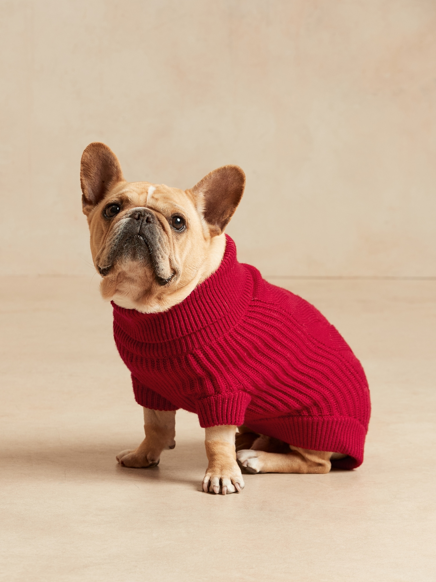 Bananarepublic Cable Dog Sweater
