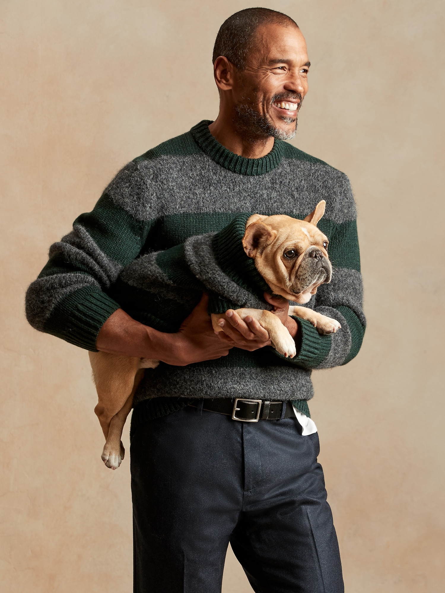 banana republic dog sweater
