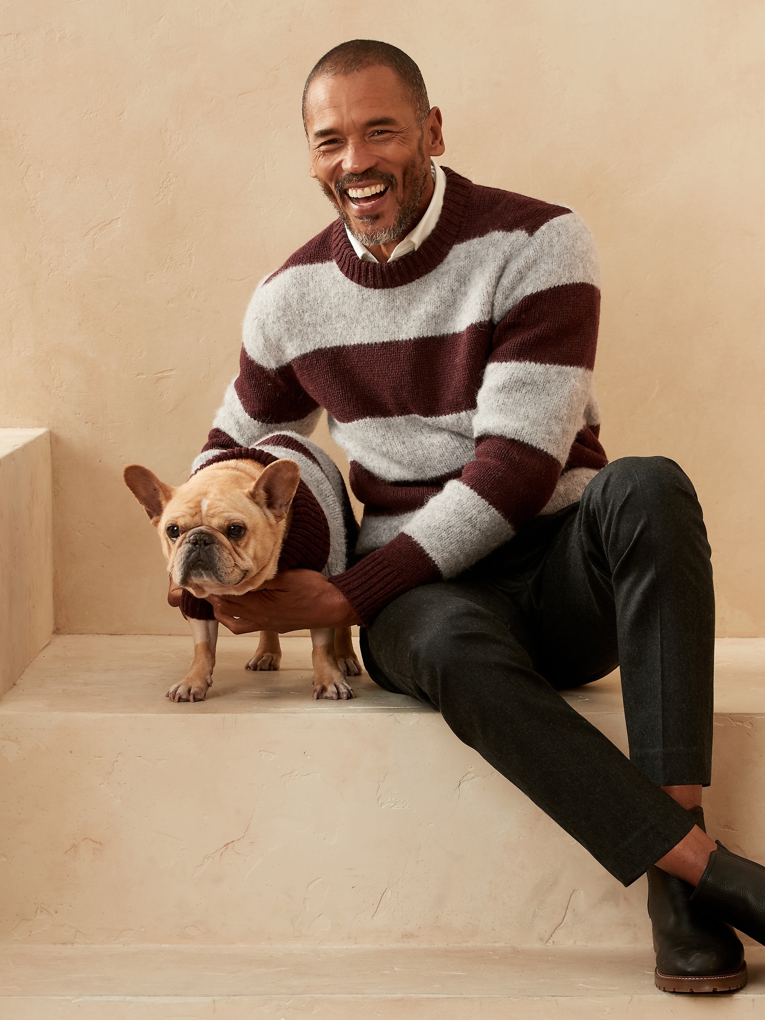 banana republic dog sweater