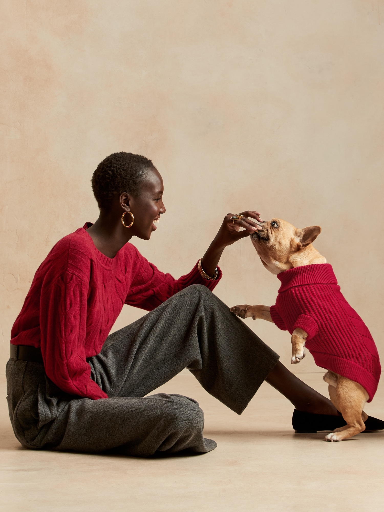 banana republic dog sweater