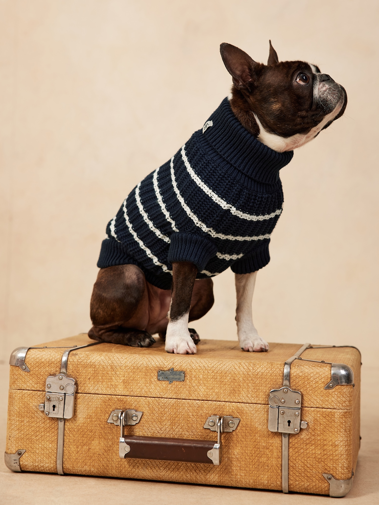 Mariner Stripe Dog Sweater Banana Republic