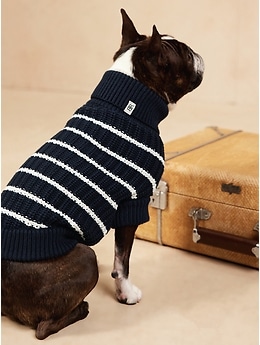 Banana republic clearance dog sweater