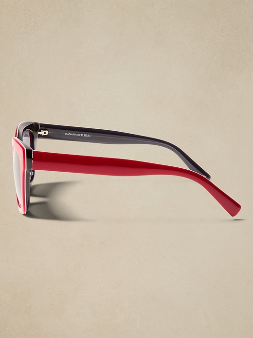Margeaux Sunglasses | Banana Republic display picture 1