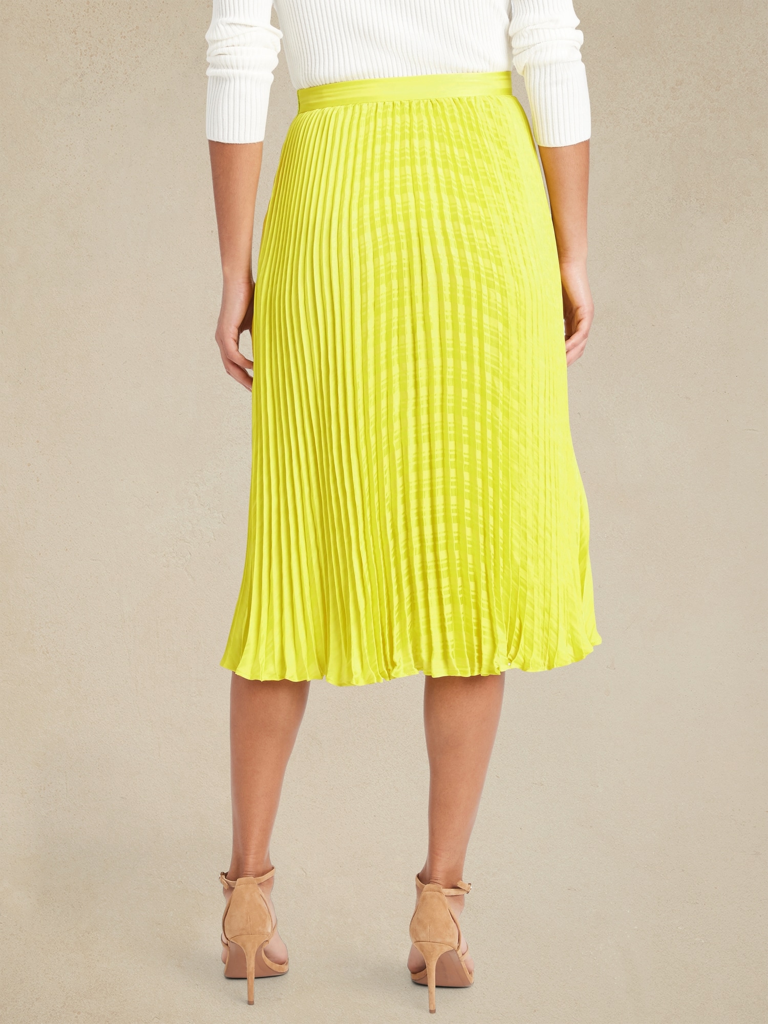 Petite Raggiera Pleated Skirt