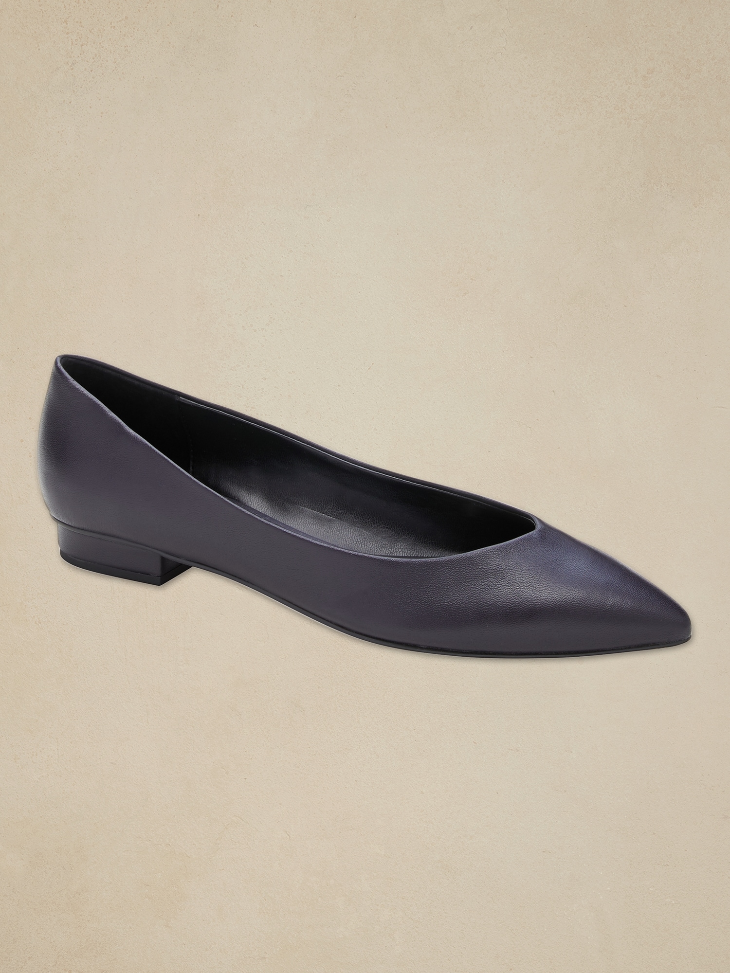 Leather Pointed-Toe Flat