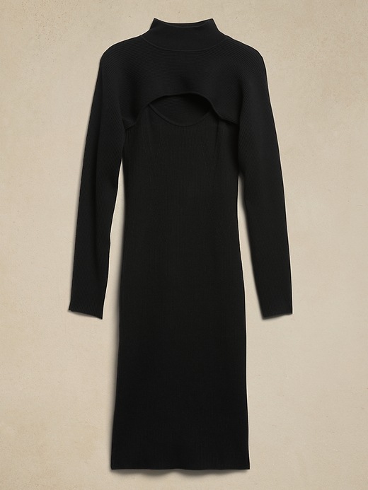 Asti Sweater Dress & Shrug Set Banana Republic