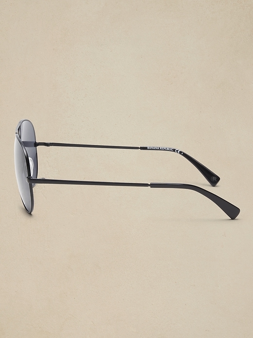 Walter Sunglasses | Banana Republic display picture 1