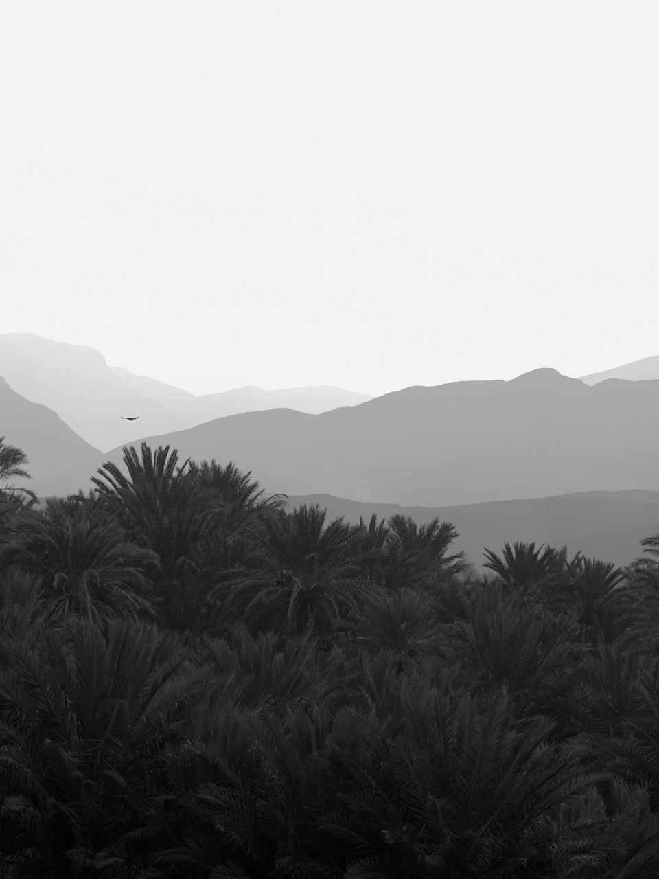 Moroccan Desert 16 by Alex Del Rio | Banana Republic