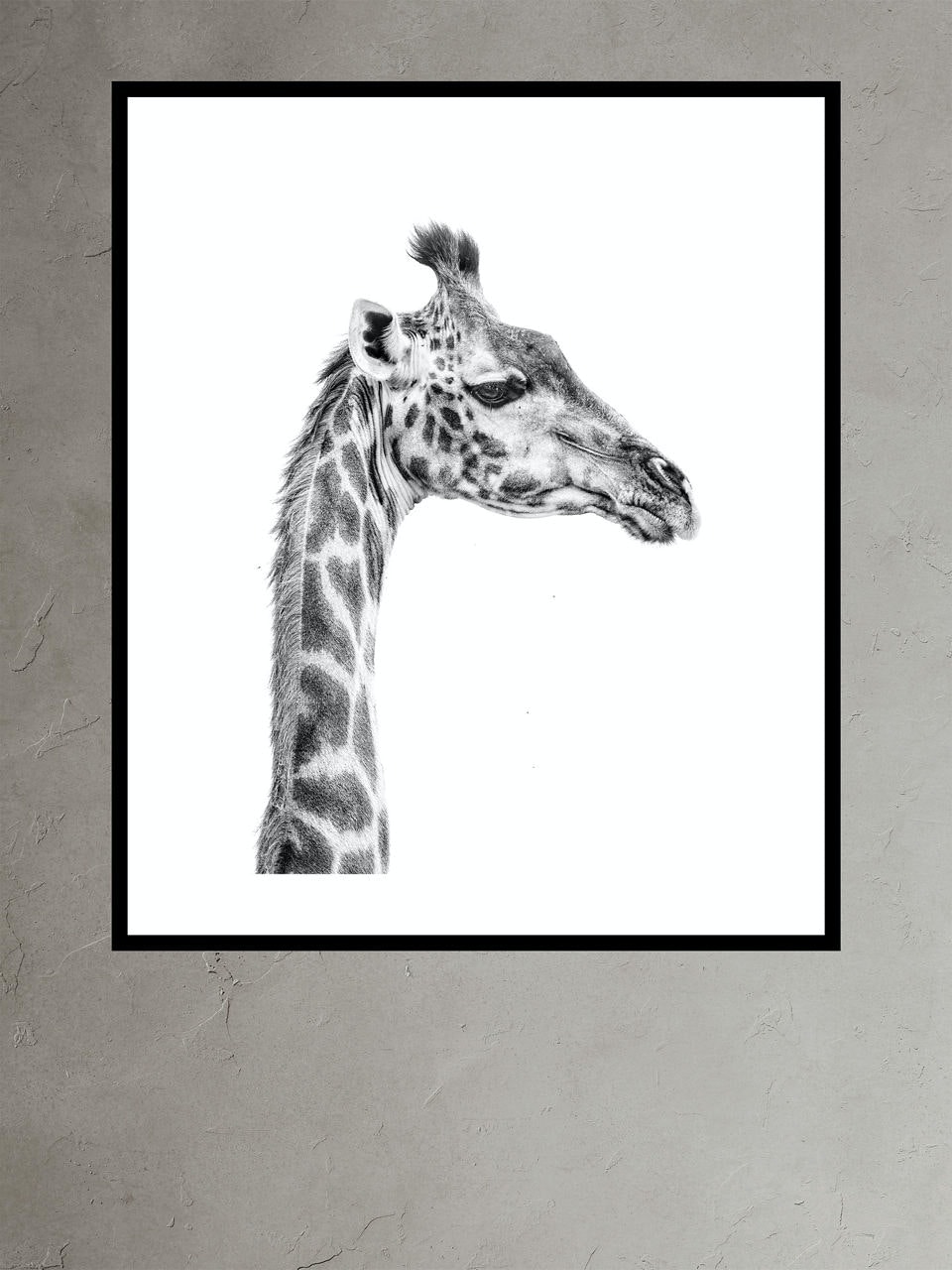 Banana Republic Portrait of a Giraffe by Marina Cano black. 1