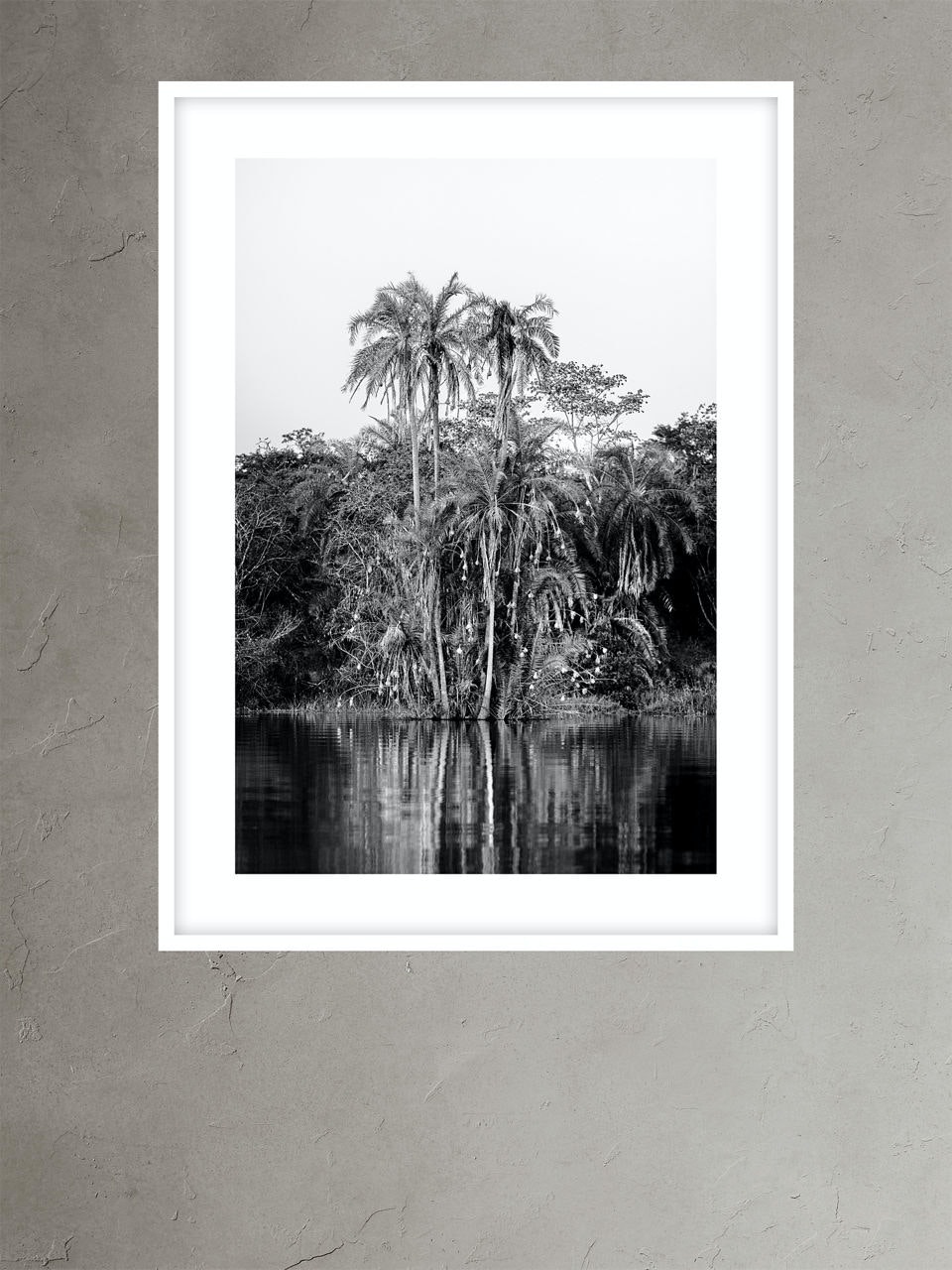 Banana Republic Palms and Nests by Nathan DeHart white. 1 Banana Republic Palms and Nests by Nathan DeHart white. 1