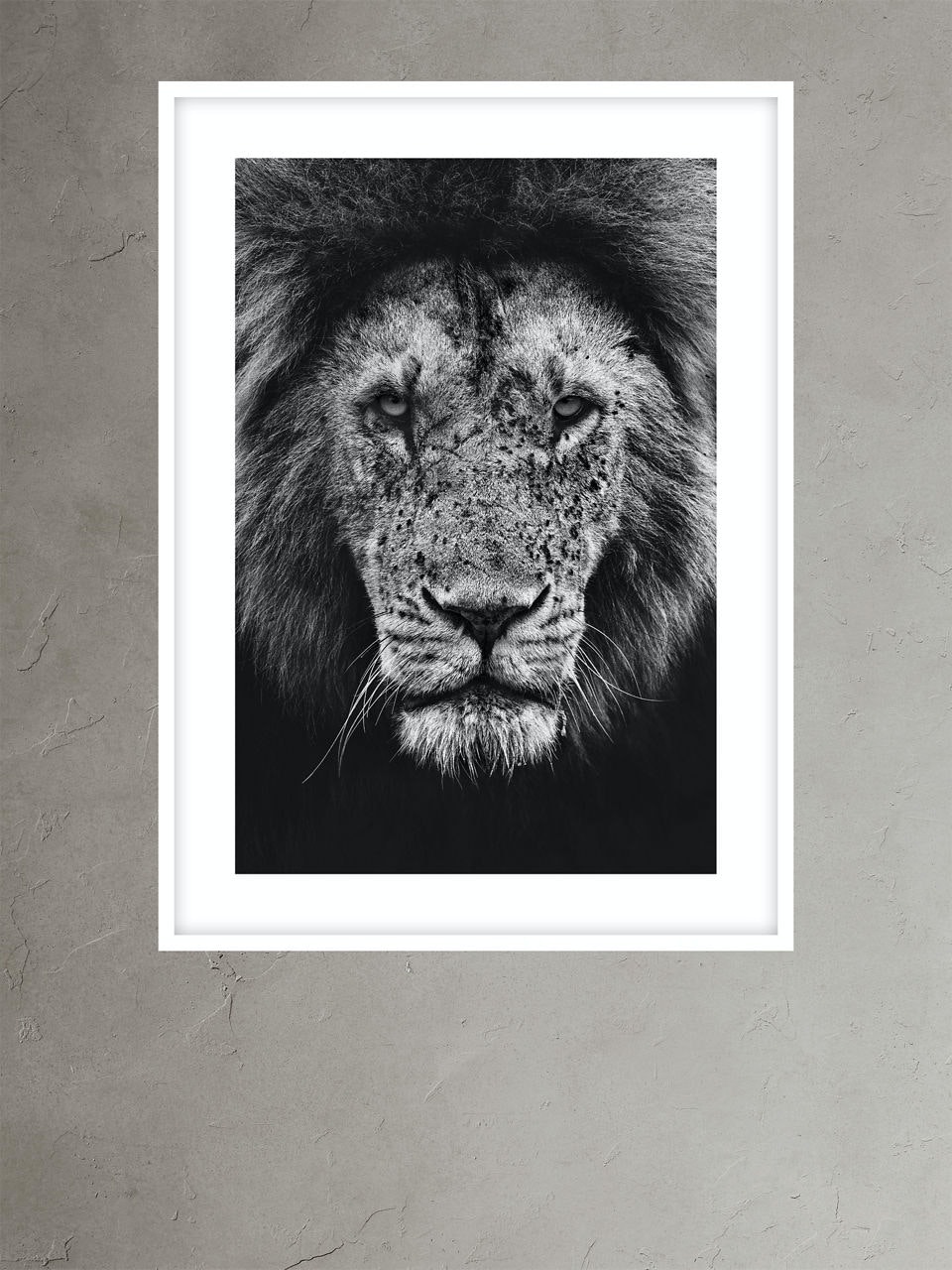 Lion Portrait 1 by Marina Cano | Banana Republic