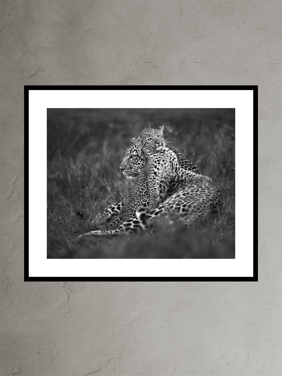 Luluka and Her Cub by Marina Cano Banana Republic