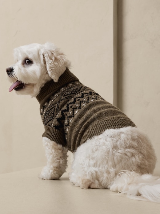 Niall Fair Isle Dog Sweater
