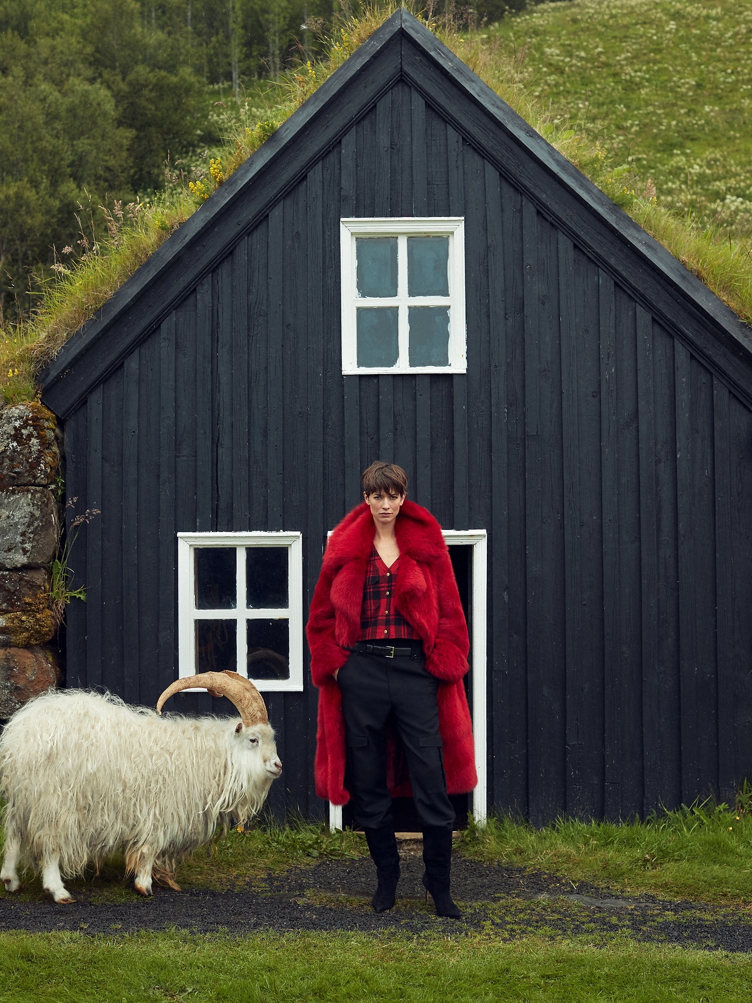 banana republic women's tall pants