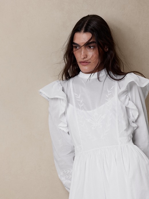 Esme Embroidered Mini Dress | Banana Republic