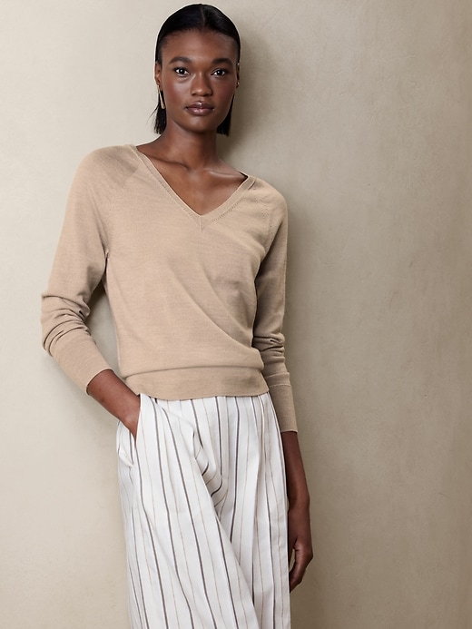 Lina Merino V-Neck Sweater | Banana Republic