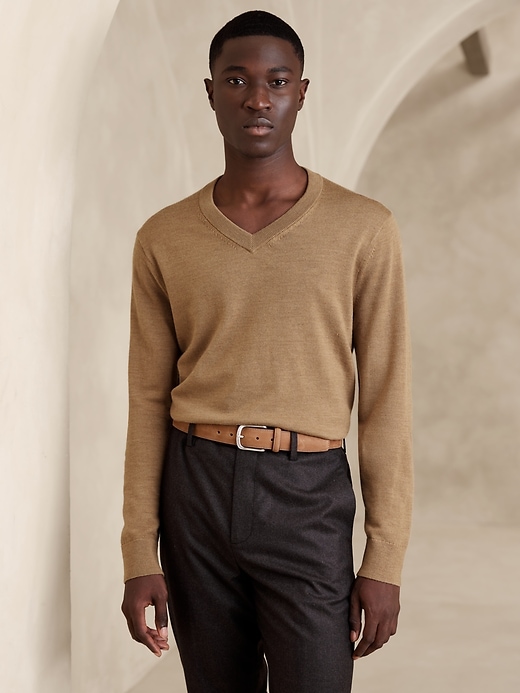 Sante Merino V-Neck Sweater | Banana Republic