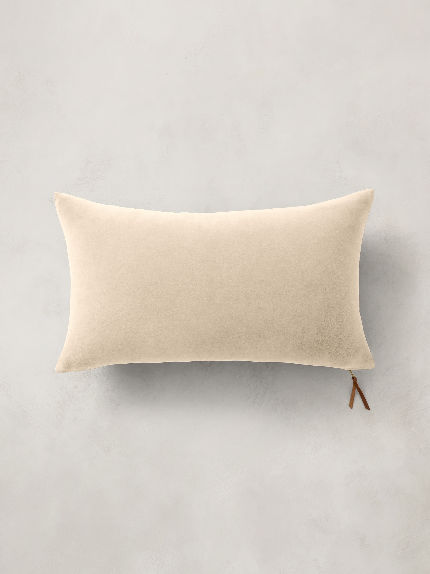 Timeless Velvet Pillow