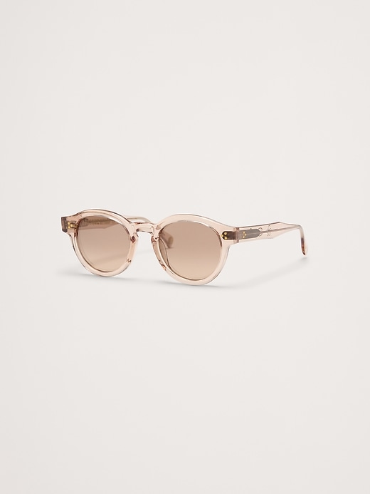 Zelti Sunglasses by Raen | Banana Republic
