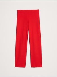 Straight Everywhere Ponte Ankle Pant