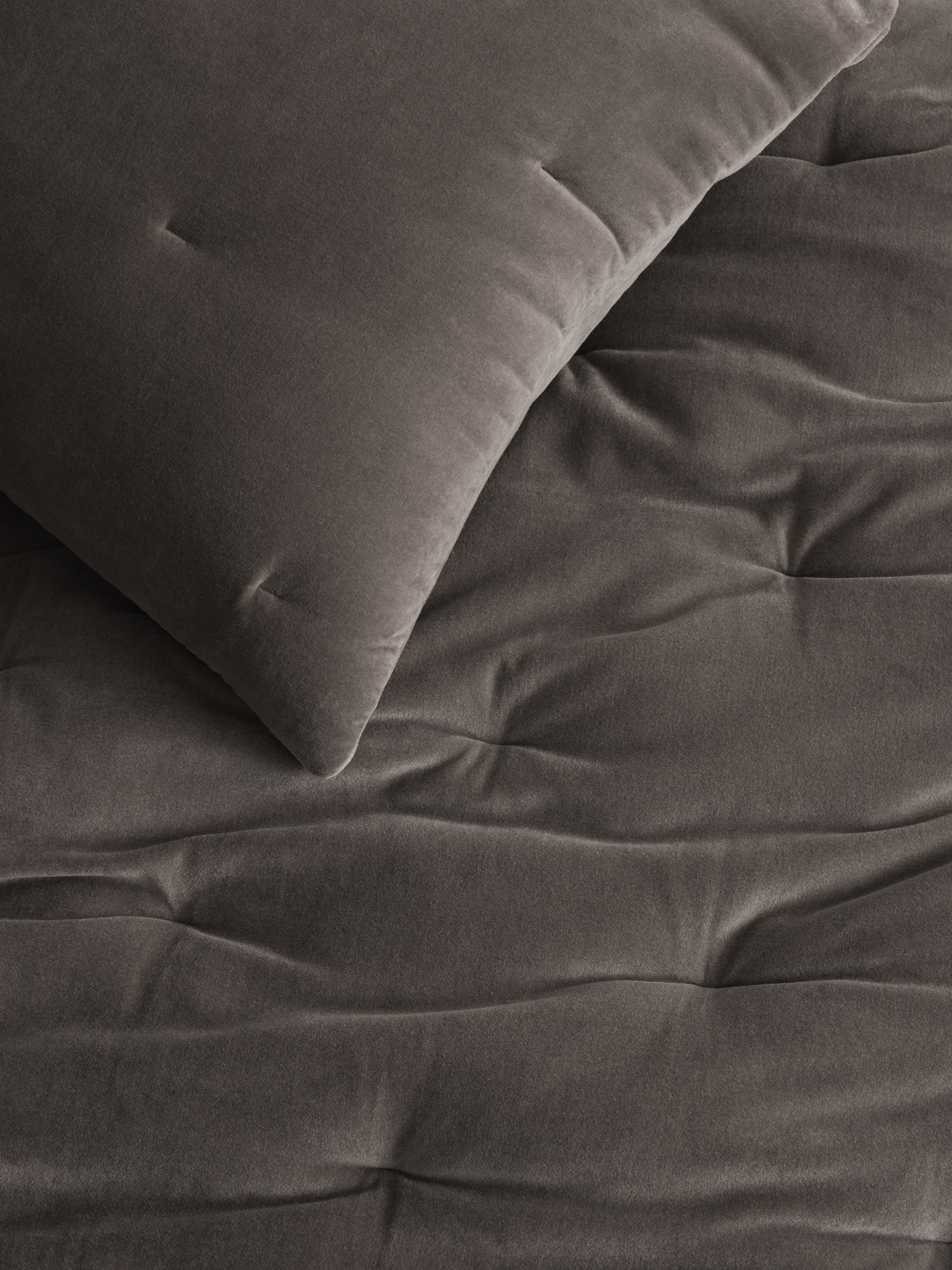 Lofty Velvet Quilt