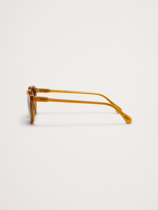 Remmy Sunglasses by Raen