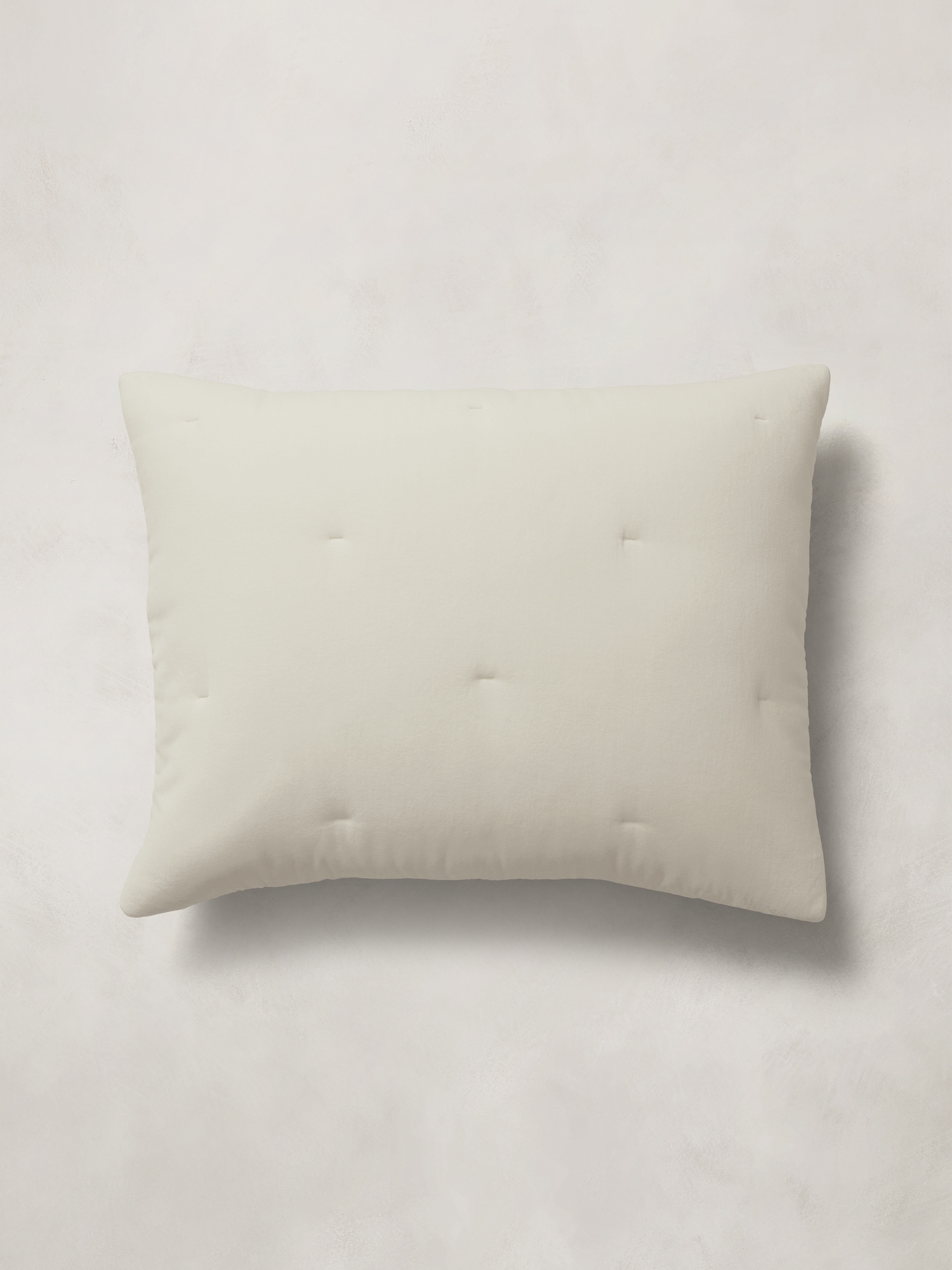 Lofty Velvet Sham Set