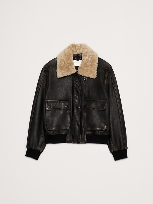 Distressed Leather Flight Jacket | Banana Republic
